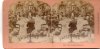 Photos Stéréoscopiques- PHOTO - The Wedding Breakfast  -année 1897 By B,W, Kilburn - Photos Stéréoscopiques