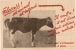 Agriculture/Elevage/Bovin S/Maladie/Varron/Vers 1950?                                      VP112 - Zonder Classificatie