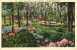 1940 USA Postcard. The Oriental Gardens &ndash; Jacksonville, FLA.   (T21006) - Jacksonville