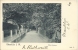 SHANKLIN - Isle Of Wight - Chine Avenue - 1902 - Andere & Zonder Classificatie