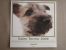 Calendrier Artlist Collection, The Dog ( Chien ). Cairn Terrier 2006. Voir 5 Photos. - Autres & Non Classés