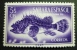 SAHARA 1953: Edifil 108 / YT 95  / Sc B27 / Mi 139 / SG 105,  Pescados Poissons Fish ** - FREE SHIPPING ABOVE 10 EURO - Sahara Espagnol