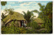 D9345 - Hut In The Jungle - Panama