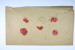 Netherlands : Registered Cover Hoorn-&gt;Haarlem NVPH Nr 8, Dot Cancel Nr 62, Wax Sealed - Marcophilie