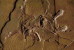 (NZ10-006 )   Archaeopteryx   Fossils  , Postal Stationery-Postsache F - Fossilien