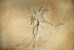 (NZ10-007 )   Archaeopteryx   Fossils  , Postal Stationery-Postsache F - Fossilien