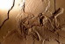 (NZ10-031  )   Archaeopteryx   Fossils  , Postal Stationery-Postsache F - Fossielen