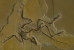 (NZ10-035  )   Archaeopteryx   Fossils  , Postal Stationery-Postsache F - Fossilien