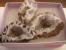 AGATE GEODES, SET OF 3, EACH ABOUT 1.5 INCHES ACROSS - Minerals