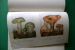 PEN/16 Giovanni Tadini I FUNGHI La Prora 1944/MICOLOGIA/BOTANICA - Gardening