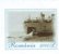 HISTORY OF WHALE HUNTING, 2004, COVER STATIONERY, ENTIER POSTALE, UNUSED, ROMANIA - Baleines