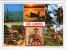 SRI LANKA/CEYLON-VIEWS / THEMATIC STAMPS-BIRDS - Sri Lanka (Ceylon)