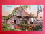 Asia > Philippines    Nipa House  Ca 1910   ------    Ref 432 - Philippines