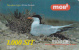 Prépayée Slovenie Mobitel Oiseau_ Bird Sterna 1.000 SIT - Slovénie