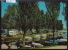 Marin (Neuchâtel) : La Tène - Plage Camping Vers 1972 ; Grand Format 10 / 15 (8291) - Marin