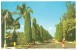 USA, Wells Road, Palm Beach, Florida, 1950s Unused Postcard [P8109] - Palm Beach