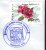 RADATECHIRGHIOL BALNEARY RESORT, 1999, SPECIAL COVER, OBLITERATION CONCORDANTE, ROMANIA - Thermalisme