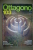 PBB/1 OTTAGONO N.103 CO.P.IN.A.1992/chitarra Fender (Tom Petty - Bruce Springsteen)/Bigo Ge - Arte, Diseño Y Decoración