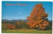 USA, Autumn In Vermont, Unused Postcard [P8246] - Other & Unclassified