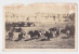 [W1033] USA South Dakota Real Photo Vintage Postcard - Signed By Labarge &amp; Jamruszka - Cows Rodeo Cattle - Rapid City