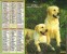 Calendrier La Poste 1992 / Photos De Chiens (golden Retriever, Berger Allemand) - Big : 1991-00