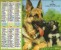 Calendrier La Poste 1992 / Photos De Chiens (golden Retriever, Berger Allemand) - Grand Format : 1991-00