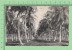 Gibraltar Vintage ( Coconut Proprerty ) Postcard Post Card  Carte Postale - Gibraltar