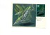 BC61932 Fish Poissons   Animaux Animals Maximum Carte Maxima Perfect Shape 2 Scans - Pingouins & Manchots