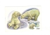 BC61939 Ours Bear Polar Animaux Animals Maximum Carte Maxima Perfect Shape 2 Scans - Ours