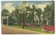 USA, Entrance To Tropical "Sarasota Jungle Gardens", Sarasota, Florida, 1956 Used Linen Postcard [P8462] - Sarasota
