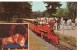 USA, Zooline Railroad, Forest Park, Saint Louis, Missouri, Unused Postcard [P8500] - St Louis – Missouri