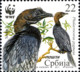 Serbia 2011 MiNr. 400 - 403  Serbien BIRDS WWF  Protected Species The Pygmy Cormorant 4v  MNH**  5,00 € - Albatros