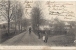 VERDELOT ..-- 77 . SEINE - MARNE ..-- Vue D ' Ensemble . 1904 Vers ASSELBORN . Voir Verso . - Autres & Non Classés