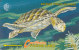 Britsh Virgin Islands, BVI-19C, BVI Wildlife - Issue 1, Turtle, 19CBVC, 2 Scans. - Vierges (îles)