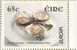 PIA - IRLANDA - 2005 : Europa - (Yv 1654-55) - Unused Stamps
