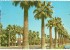 USA, Palm-lined Central Avenue Adjacent To Phoenix Public Library, Arizona, 1971 Used Postcard [P8832] - Phoenix