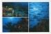 MALDIVES-DIVER'S PARADISE (PHOTO MUSTAG) / THEMATIC STAMPS-BIRDS - Maldiven