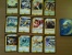 LOT DE 34 CARTES DIFFERENTES DUEL MASTERS 2004 + 14 DOUBLES GRATUITS - Other & Unclassified