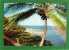 The Sunny Caribbean-Tropical Splendor In The Caribbean-Paisible Côte Antillaise - Sonstige & Ohne Zuordnung