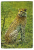 GUEPARD "Acinonyx Jubatus ", Photo Christian ZUBER, W.W.F., Ed Cordia, Années 70 - Tiger