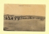Convoyeur Tlemcen A Oran - 19 Juil 1909 - Sur Cpa Oudjda - Type Semeuse - Posta Ferroviaria