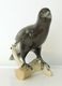 Delcampe - Statuette ROYAL DUX Oiseau Bird Porcelaine Réveilleur Lifesize Figurine - Andere & Zonder Classificatie