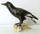 Delcampe - Statuette ROYAL DUX Oiseau Bird Porcelaine Réveilleur Lifesize Figurine - Autres & Non Classés