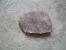 Lépidolite - Mineralien