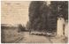 07891g TROUPEAU - PETIT BETAIL - Prairie - Berger - Nivelles - 1911 - Nivelles