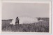 PAU (Environs) - Carte-photo Parachute Parachutisme 1956 - Paracadutismo