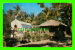 PUERTO RICO - SMALL CHAPEL, CAPILLA DE PERPETUO SOCORRO, BESIDE QUAINT VILLAGE HUT - TRAVEL IN 1955 - - Puerto Rico