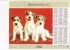 Almanach Des PTT 1968 "trio / Surprise" Chiens Fox Terrier, Chatons, Cor D'harmonie OBERTHUR - Grand Format : 1961-70