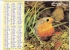 Almanach Des PTT 1978  "minou / Rouge-gorge" Chat, Oiseau OLLER - Grand Format : 1971-80