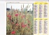 Almanach Des PTT 1979  "maison Fleurie En Normandie / Bouquet Des Champs" Collombages, Calvados, Coquelicot,JEAN LAVIGNE - Grand Format : 1971-80